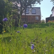 orchard to barn view