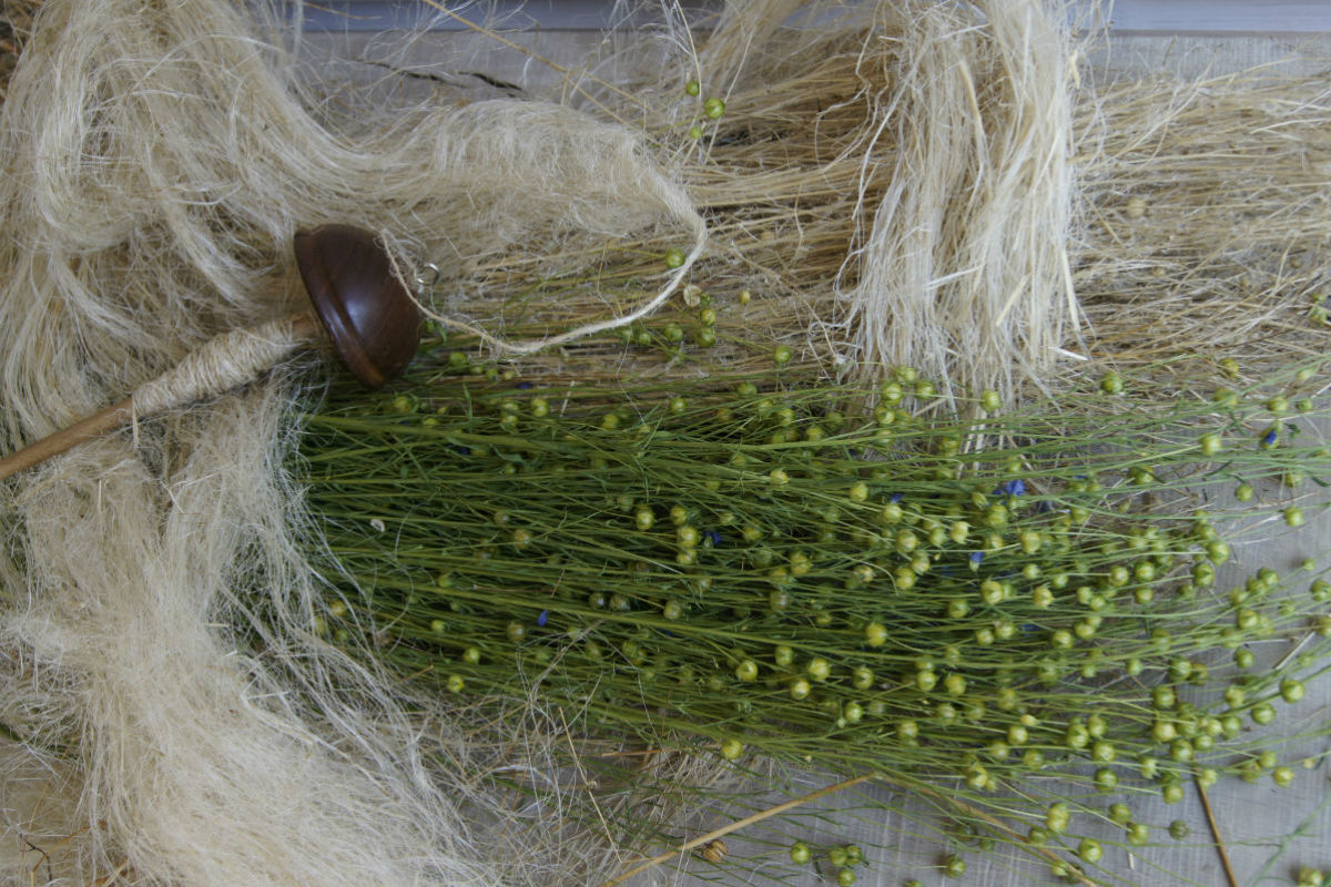 drop spindle with fibre and seed heads