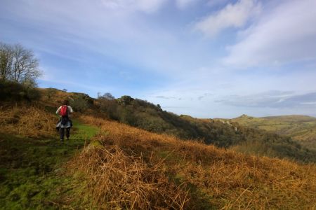 Dartmoor With Susie