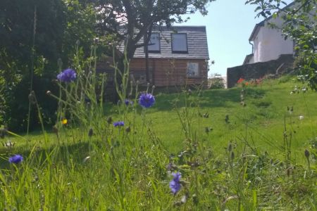 Orchard To Barn View